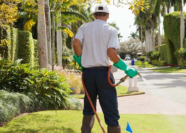 About Schwenksville PA Pest Control Pros